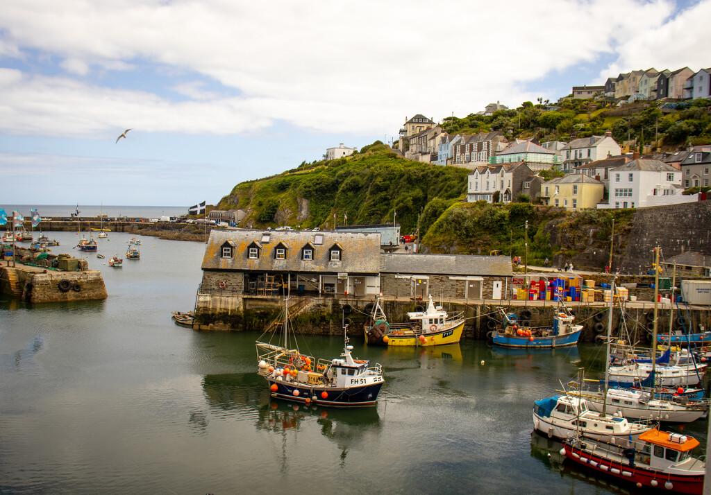 The inner harbour  by swillinbillyflynn