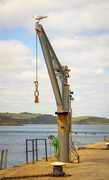 1st Jul 2024 - Crane and gull