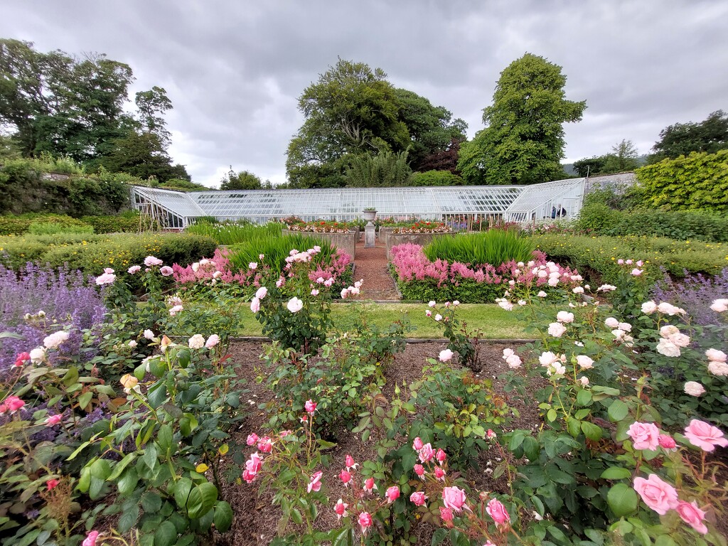 Walled garden, Southwick House  by samcat