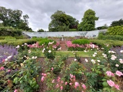 2nd Jul 2024 - Walled garden, Southwick House 