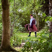 29th Jun 2024 - Piper in the Woods