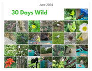 2nd Jul 2024 - 30 Days Wild