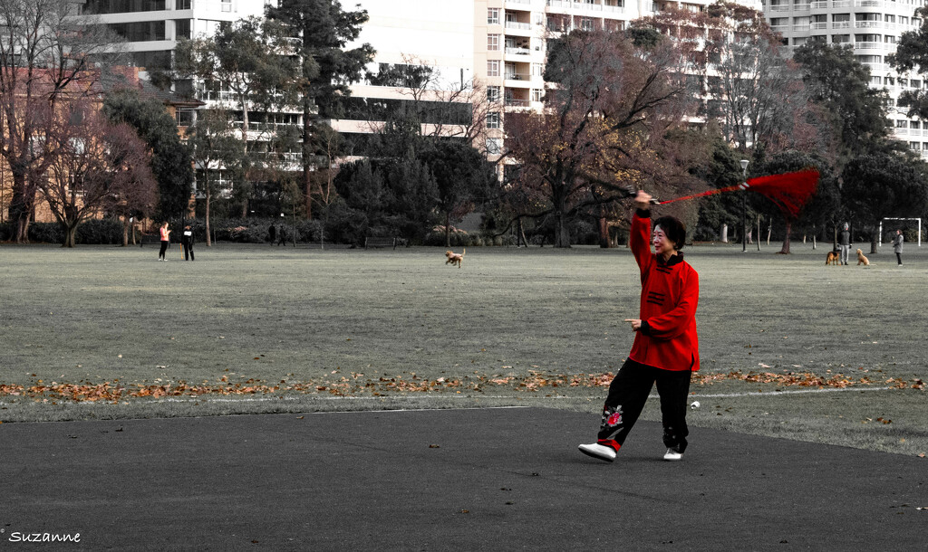 Tai Chi in the Park by ankers70