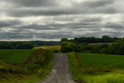 26th Jun 2024 - Kansas Country Morning