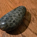 Petoskey Stone by larrysphotos