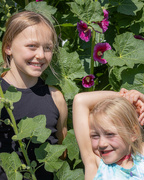 30th Jun 2024 - hollyhocks