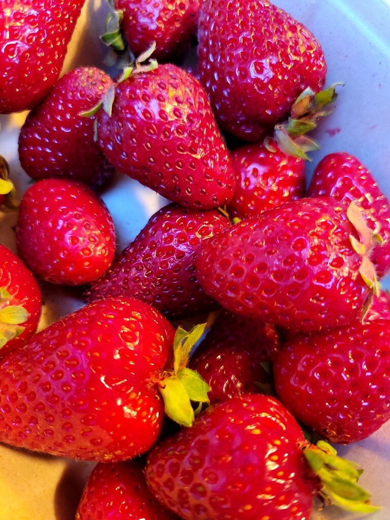 Fresh Strawberries by kimmer50