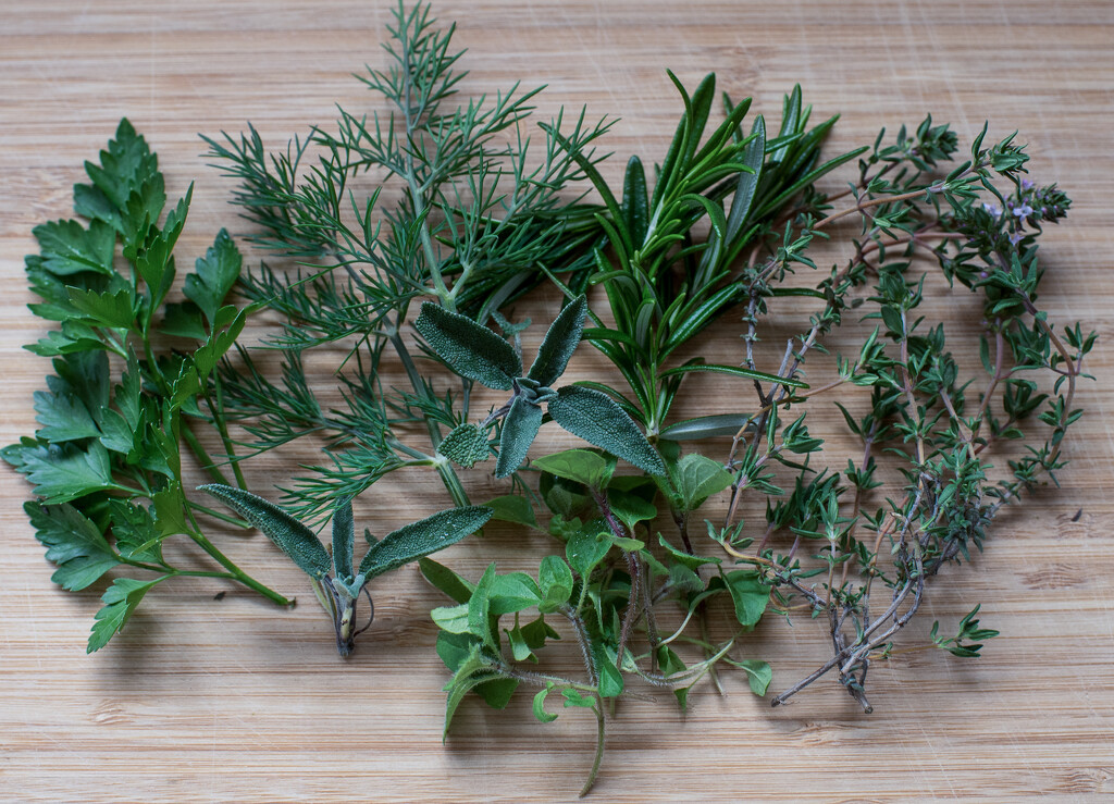herbs by brigette