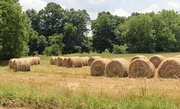 3rd Jul 2024 - Some bales of hay