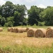 Some bales of hay by mittens