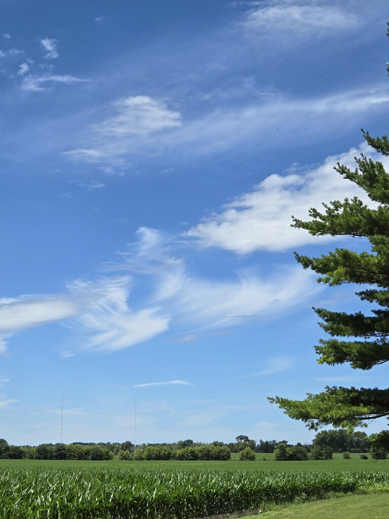 Cool clouds by randy23