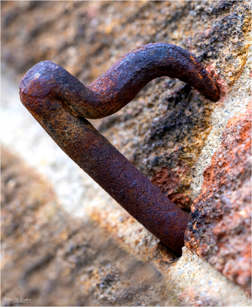 Rusty Stake by pcoulson