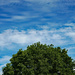 July sky by larrysphotos