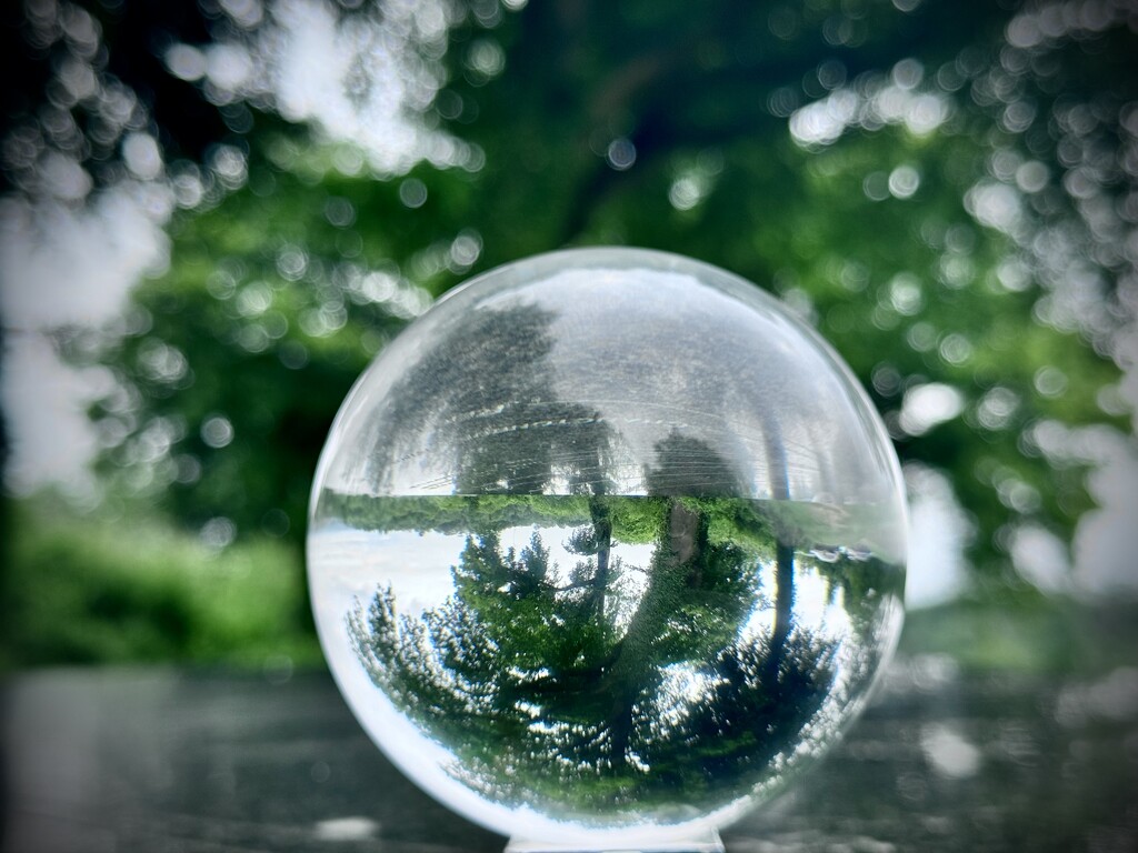 Tree in a Globe by jmdeabreu