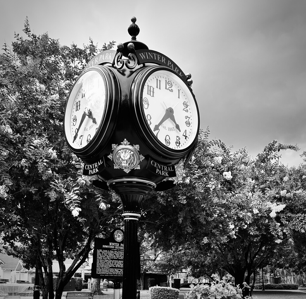Winter Park Clock at Central Park  by frodob