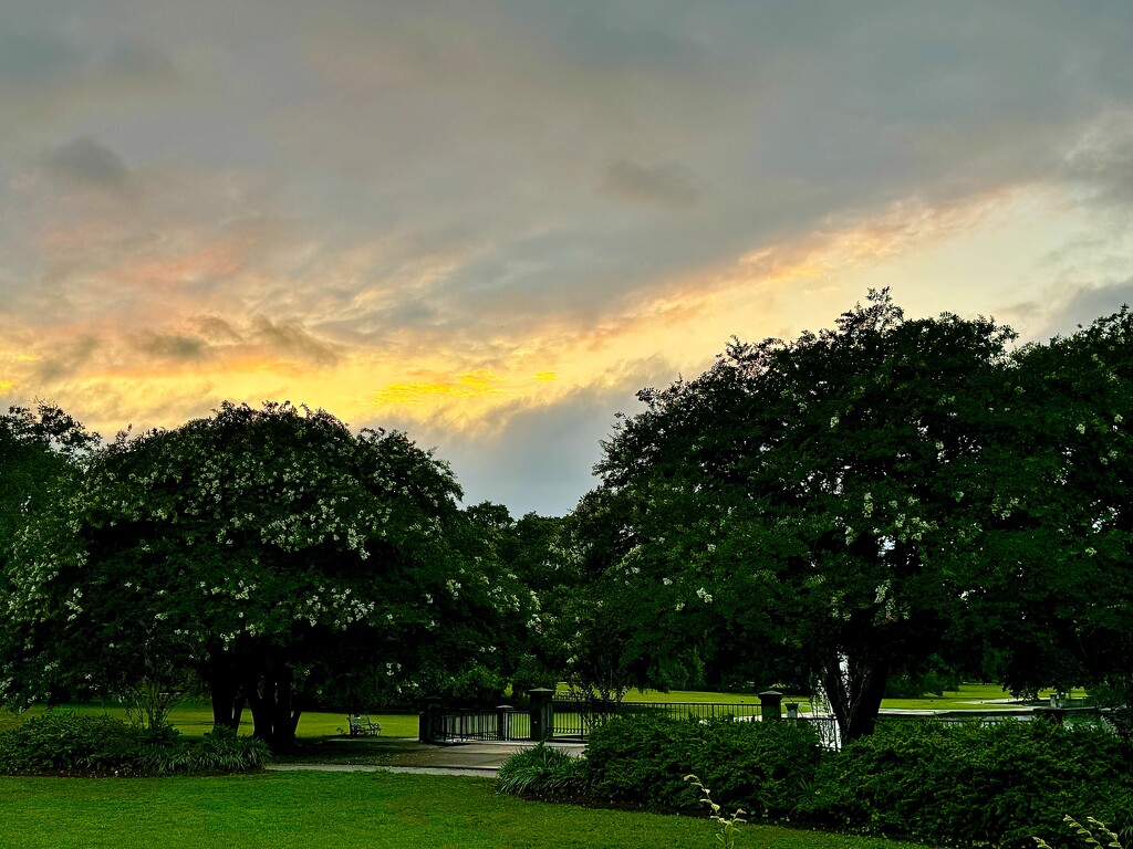Hampton Park sunset by congaree