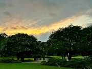 3rd Jul 2024 - Hampton Park sunset
