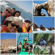 15th Jun 2024 - Visiting Paracas & the Ballesta Islands