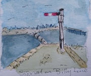 4th Jul 2024 - Signal on the Billy Line