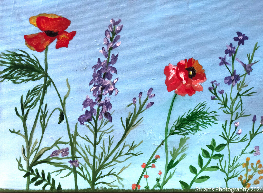 Wild flowers (painting) by stuart46