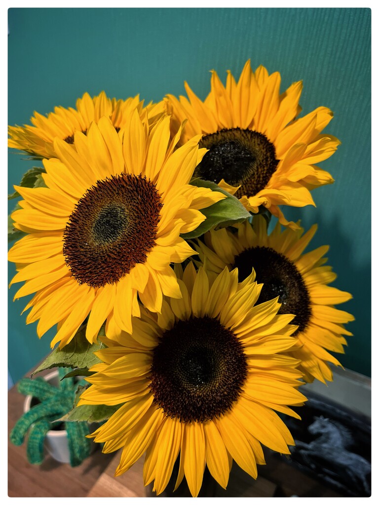 Sunflowers #4 by phil452