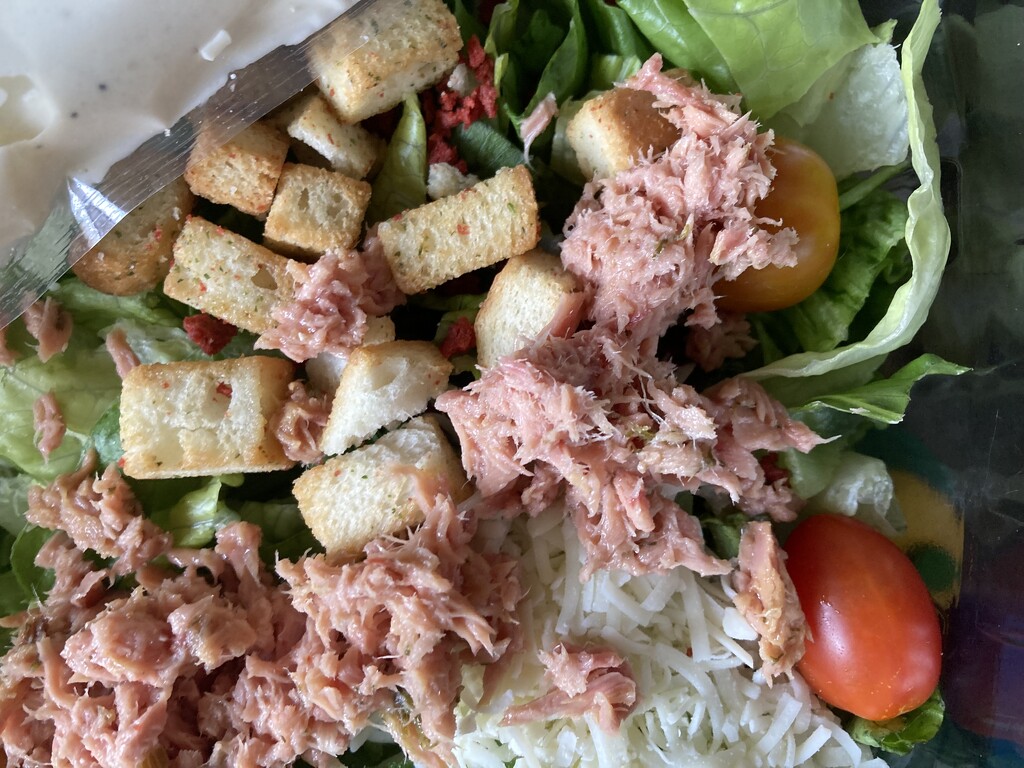 Caesar Salad Day by spanishliz