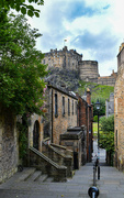 3rd Jul 2024 - The Vennel