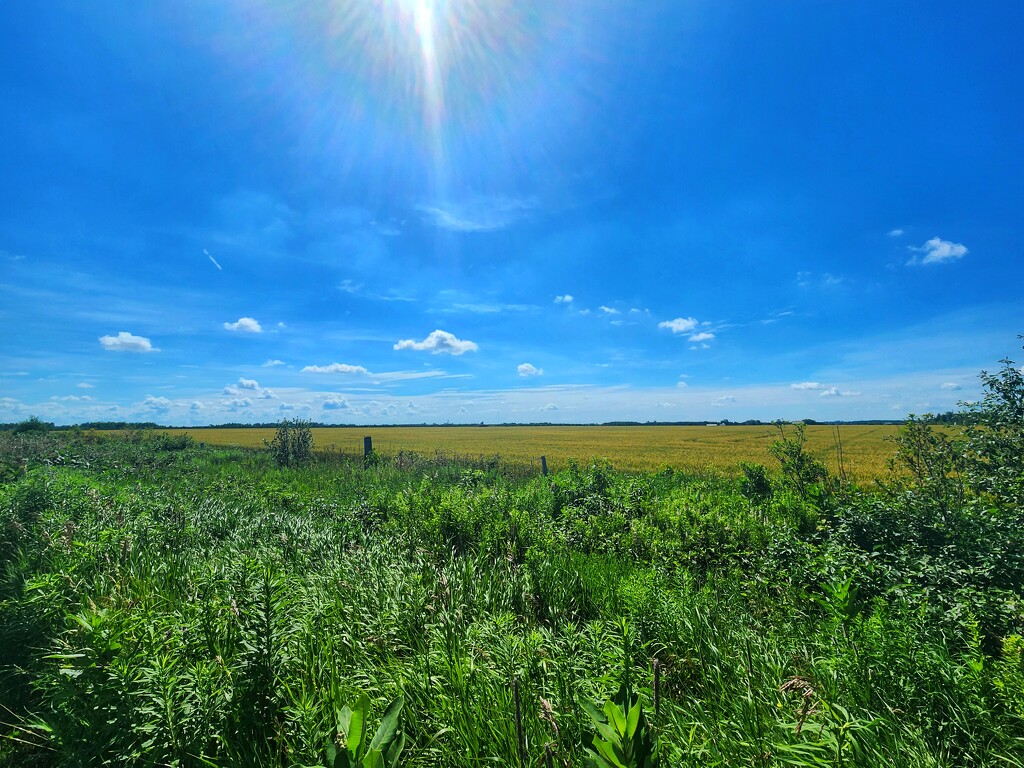 A beautiful day for a bike ride by ljmanning