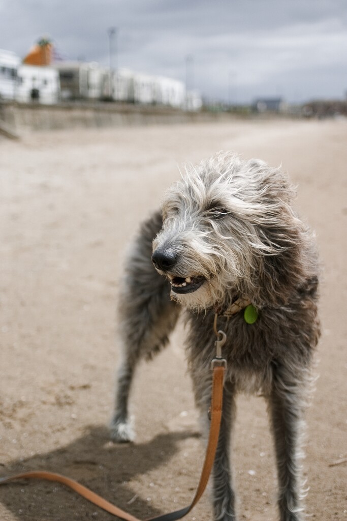 Darrah at the beach by killeen