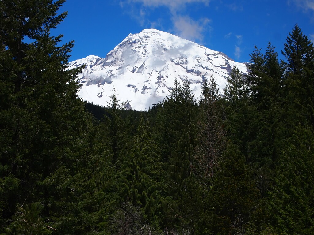 Rainier looming by blueberry1222