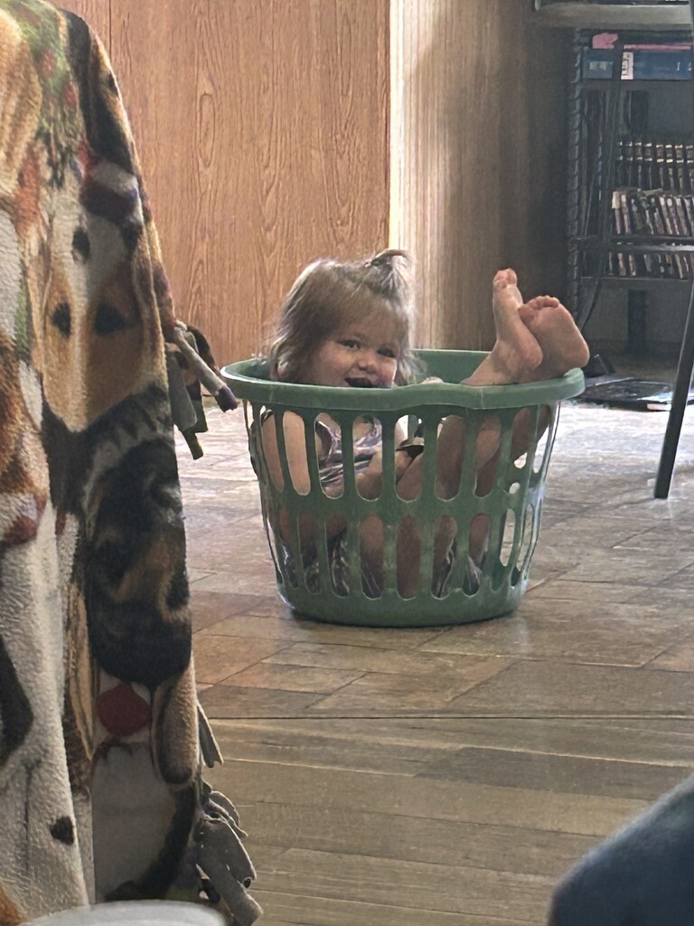Baby in a basket!  by bellasmom