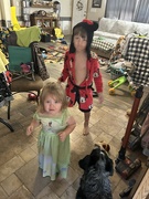 2nd Jul 2024 - Sis got some new “used” clothes,  Bubs swiped the robe.  She didn’t want to pose for pic!