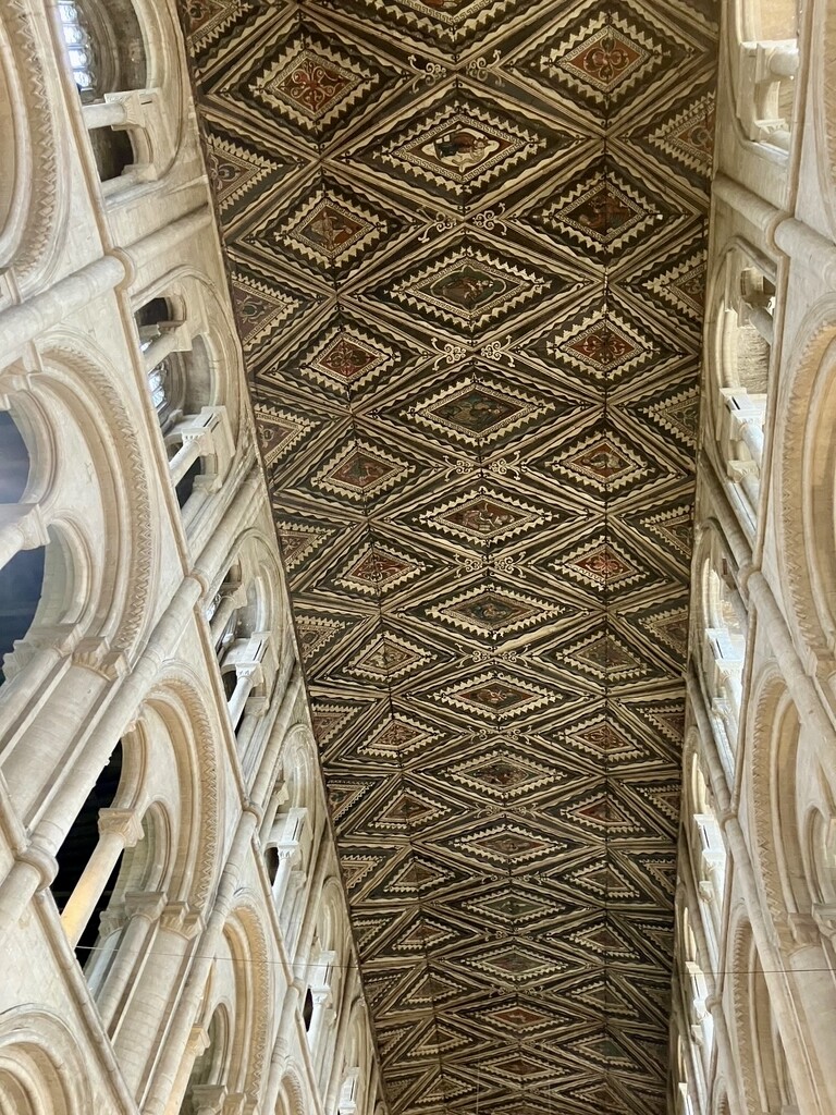 Unique Wooden Medieval Ceiling  by foxes37