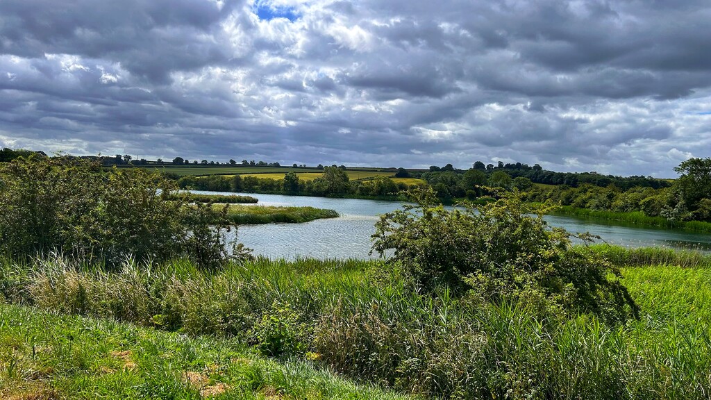 Nature Reserve by carole_sandford