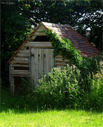5th Jul 2024 - Old Garden Shed