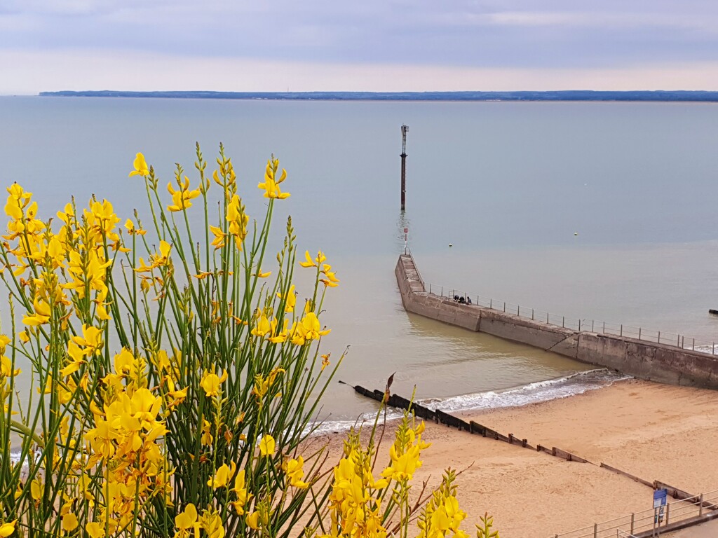 A Yellow Cornered Sea by will_wooderson