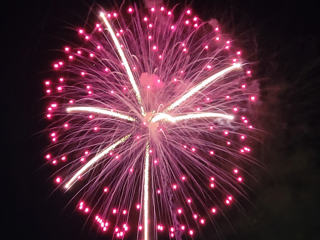 Sand dollar fireworks by scoobylou