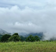 5th Jul 2024 - Clouds Rolled In