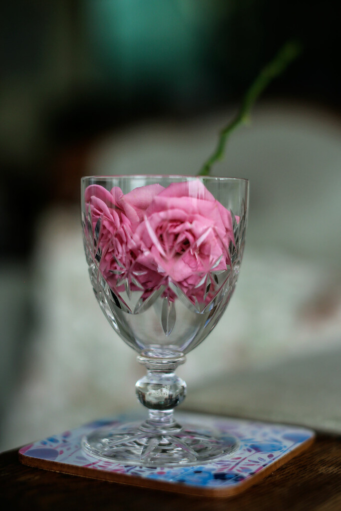 Flower in wine glass by jeneurell