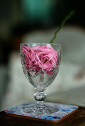 6th Jul 2024 - Flower in wine glass