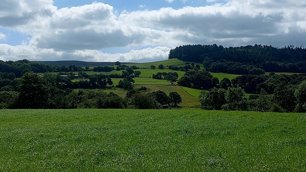 Lancashire by antmcg69