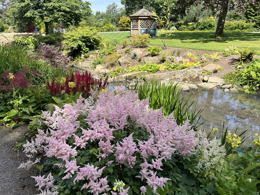 RHS Harlow Carr by elainepenney