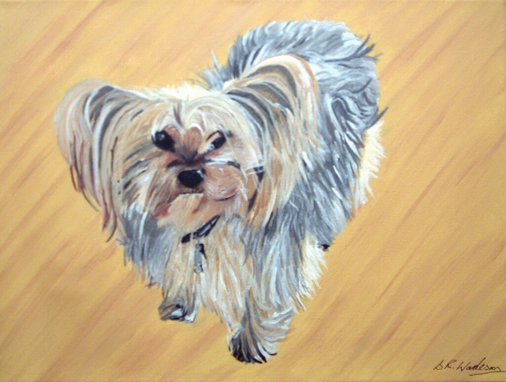 Small dog (painting) by stuart46