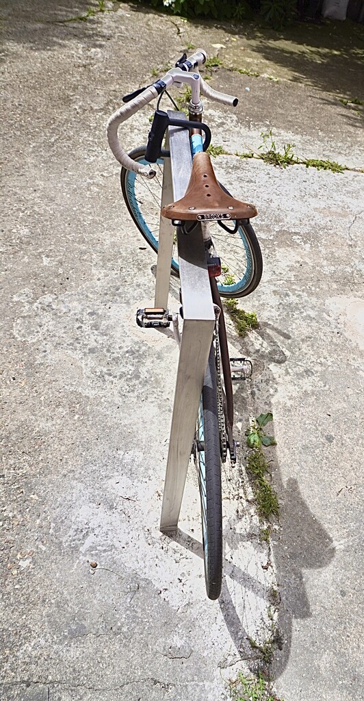 Thrilling to see this vintage bike… in the garden! by beverley365