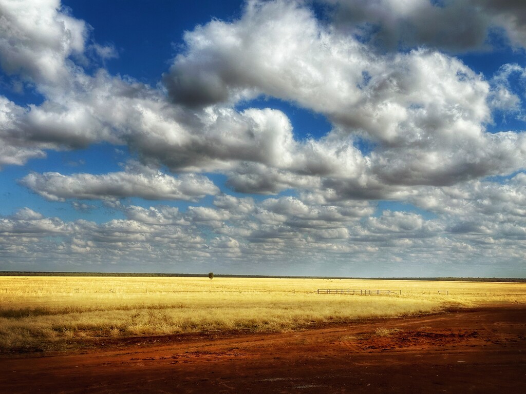 Beautiful landscapes of the desert by pusspup