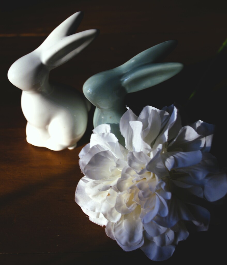 Bunny still life 5 by mdry