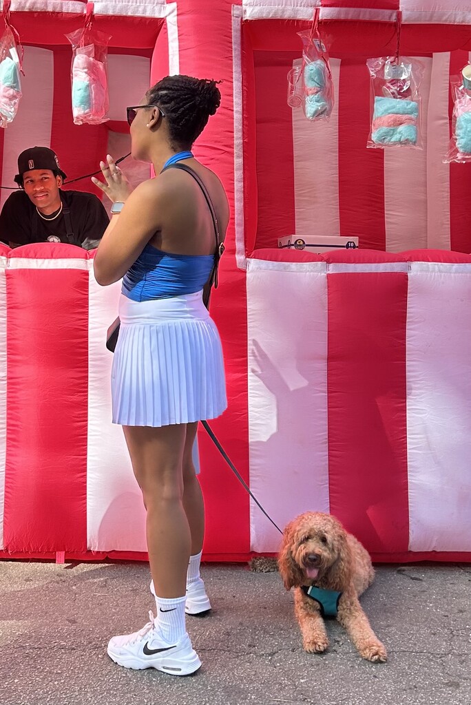 At the festival: red, white and blue —and dog by swagman