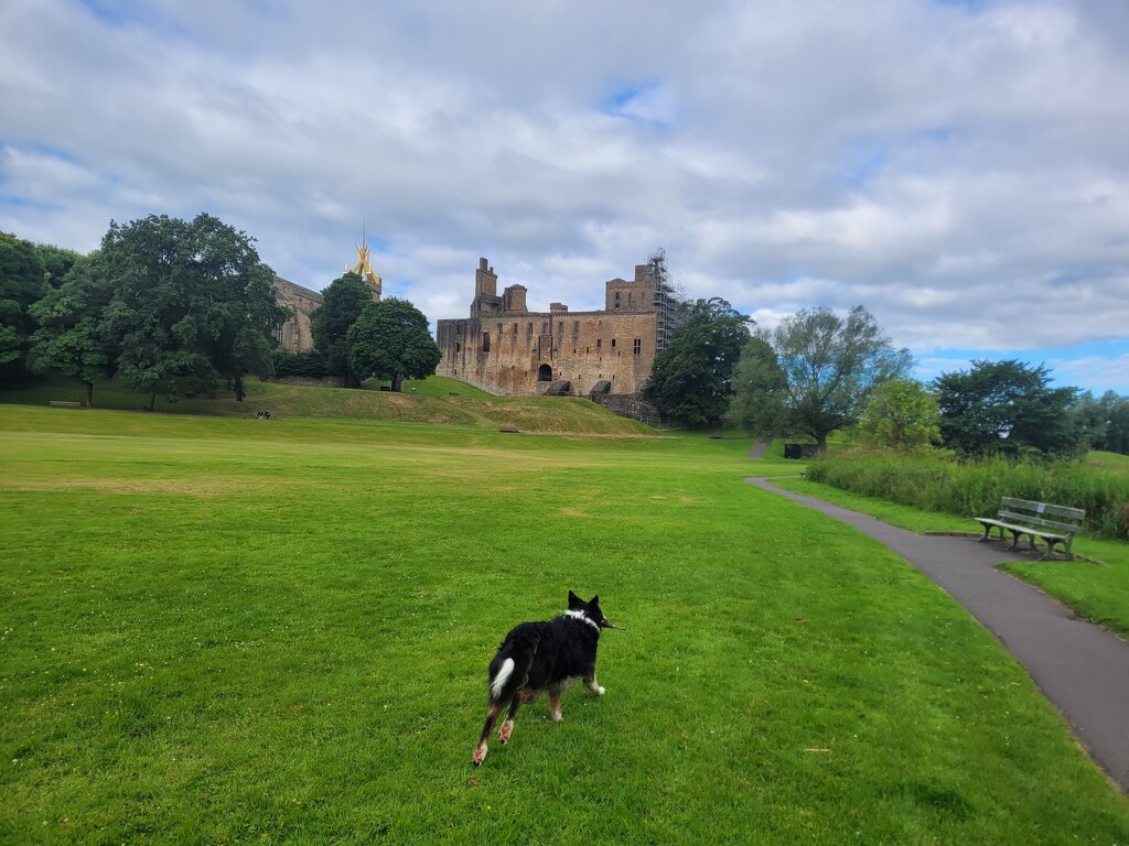 Linlithgow Palace by clearday