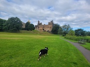 6th Jul 2024 - Linlithgow Palace