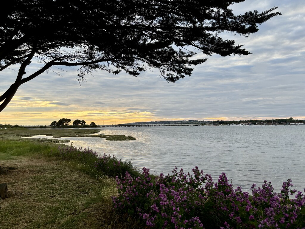 Langstone Quays by gillian1912